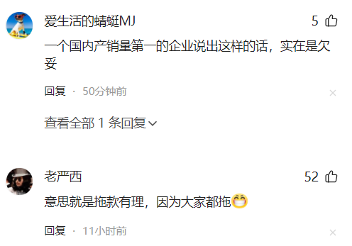 168股票配资 比亚迪一句话，惹怒了网友！