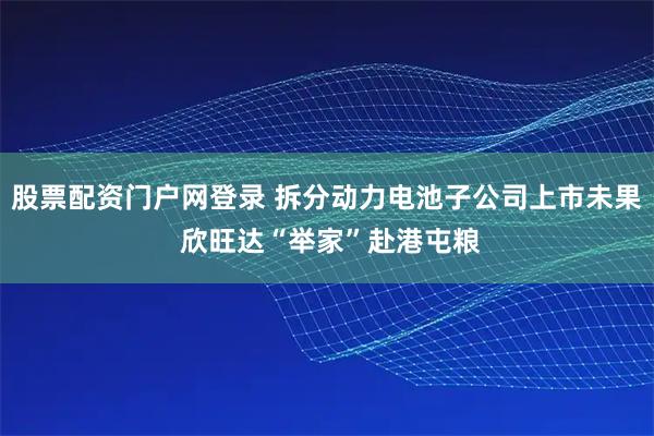 股票配资门户网登录 拆分动力电池子公司上市未果 欣旺达“举家”赴港屯粮